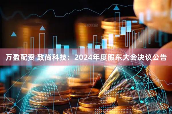 万盈配资 致尚科技：2024年度股东大会决议公告