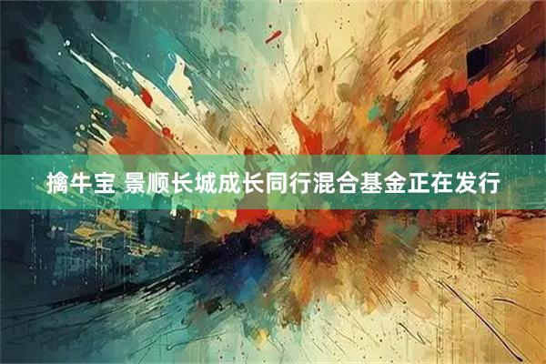 擒牛宝 景顺长城成长同行混合基金正在发行