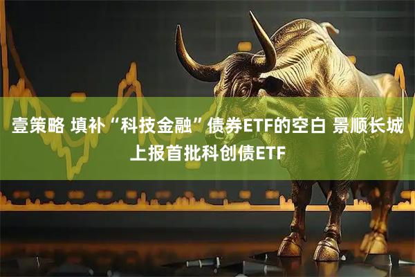 壹策略 填补“科技金融”债券ETF的空白 景顺长城上报首批科创债ETF
