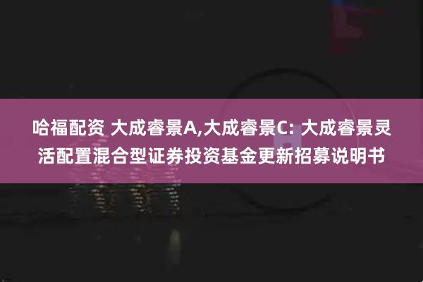 哈福配资 大成睿景A,大成睿景C: 大成睿景灵活配置混合型证券投资基金更新招募说明书