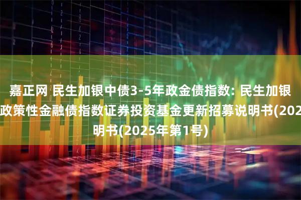 嘉正网 民生加银中债3-5年政金债指数: 民生加银中债3-5年政策性金融债指数证券投资基金更新招募说明书(2025年第1号)