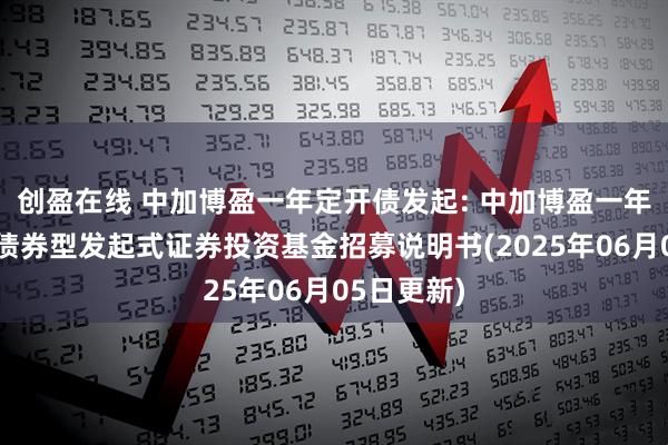 创盈在线 中加博盈一年定开债发起: 中加博盈一年定期开放债券型发起式证券投资基金招募说明书(2025年06月05日更新)