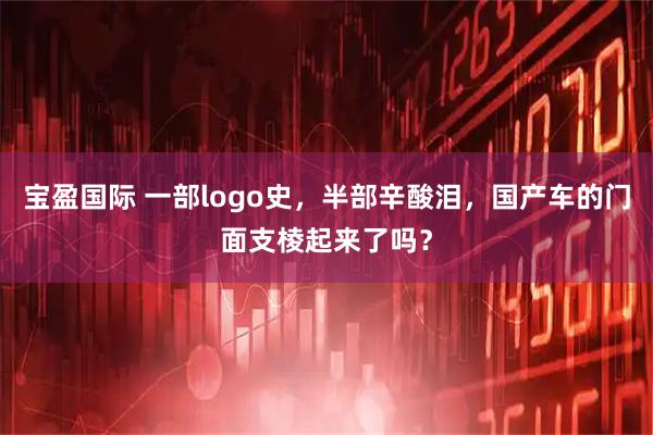宝盈国际 一部logo史，半部辛酸泪，国产车的门面支棱起来了吗？