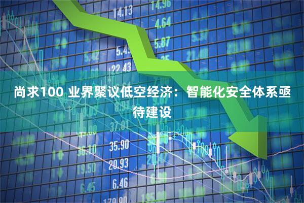 尚求100 业界聚议低空经济：智能化安全体系亟待建设