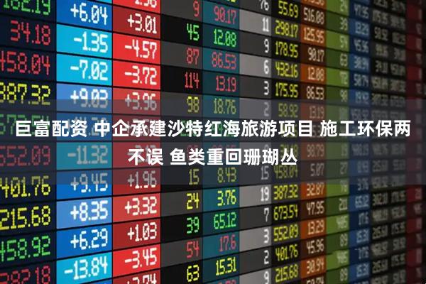 巨富配资 中企承建沙特红海旅游项目 施工环保两不误 鱼类重回珊瑚丛